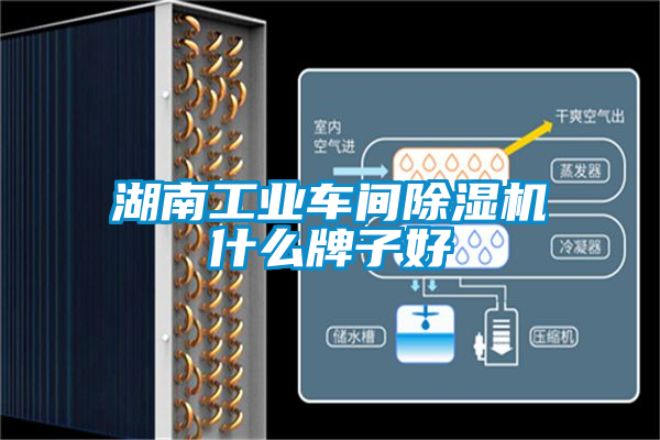 湖南工业车间除湿机什么牌子好