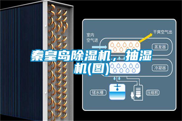 秦皇岛除湿机，抽湿机(图)