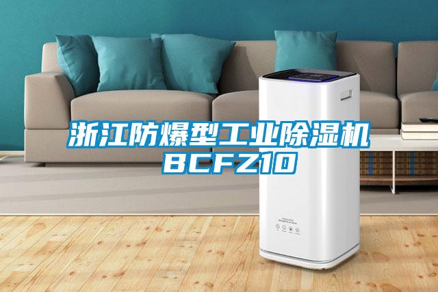 浙江防爆型工业除湿机 BCFZ10