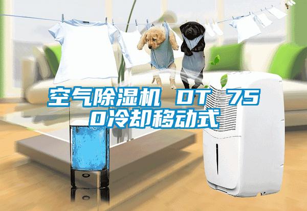 空气除湿机 DT 750冷却移动式