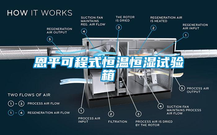 恩平可程式恒温恒湿试验箱