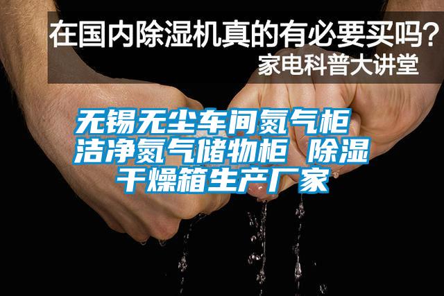 无锡无尘车间氮气柜 洁净氮气储物柜 除湿干燥箱生产厂家