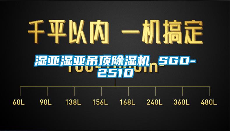 湿亚湿亚吊顶除湿机 SGD-251D