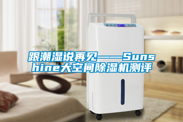 跟潮湿说再见——Sunshine大空间除湿机测评