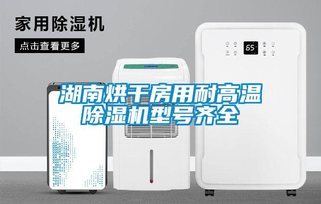 湖南烘干房用耐高温除湿机型号齐全