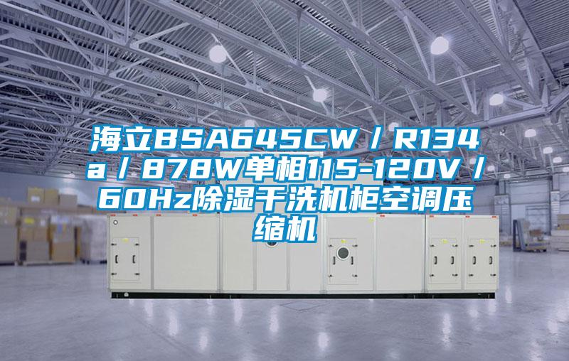 海立BSA645CW／R134a／878W单相115-120V／60Hz除湿干洗机柜空调压缩机