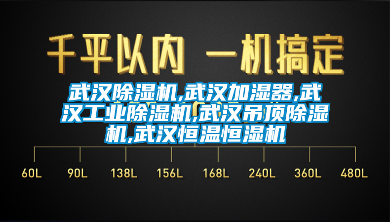 武汉除湿机,武汉加湿器,武汉工业除湿机,武汉吊顶除湿机,武汉恒温恒湿机