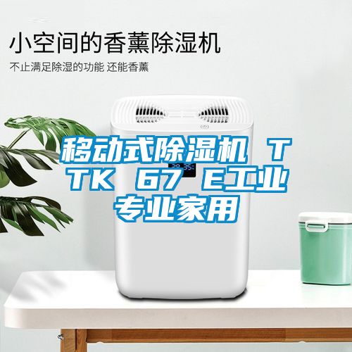 移动式除湿机 TTK 67 E工业专业家用