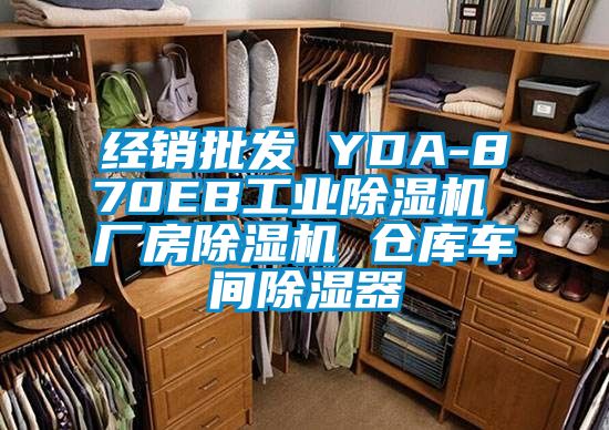 经销批发 YDA-870EB工业除湿机 厂房除湿机 仓库车间除湿器