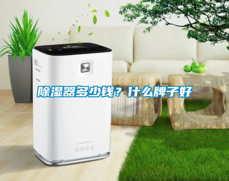 除湿器多少钱？什么牌子好