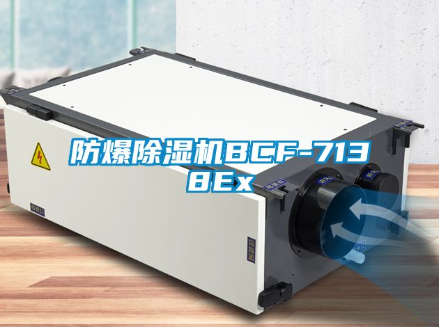 防爆除湿机BCF-7138Ex