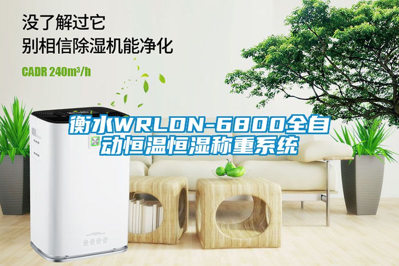 衡水WRLDN-6800全自动恒温恒湿称重系统