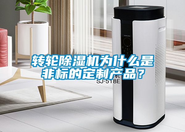 转轮除湿机为什么是非标的定制产品？