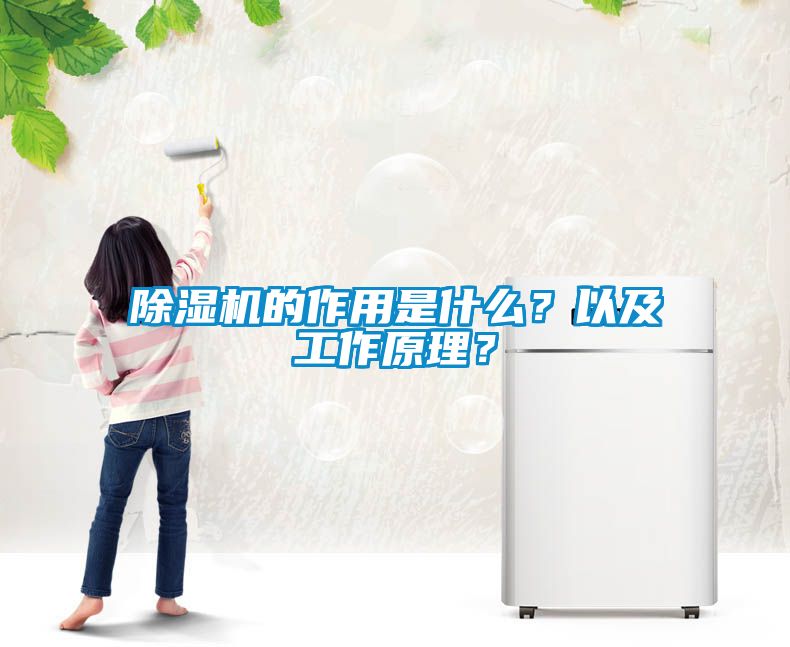 除湿机的作用是什么？以及工作原理？