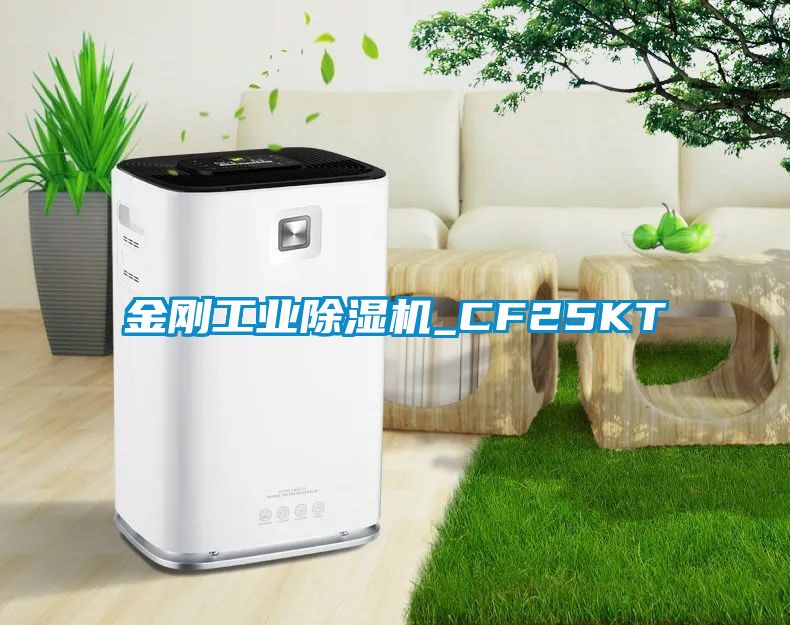 金刚工业除湿机_CF25KT