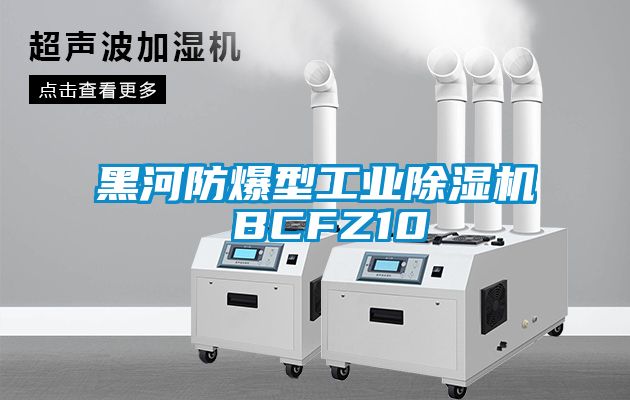 黑河防爆型工业除湿机 BCFZ10