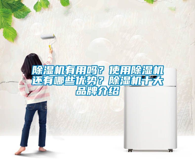 除湿机有用吗？使用除湿机还有哪些优势？除湿机十大品牌介绍