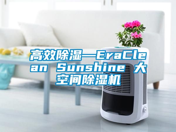 高效除湿—EraClean Sunshine 大空间除湿机