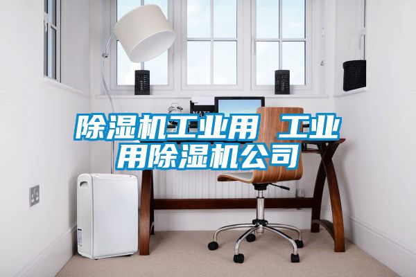 除湿机工业用 工业用除湿机公司