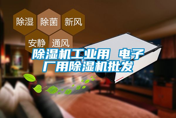 除湿机工业用 电子厂用除湿机批发