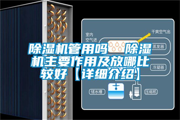 除湿机管用吗  除湿机主要作用及放哪比较好【详细介绍】